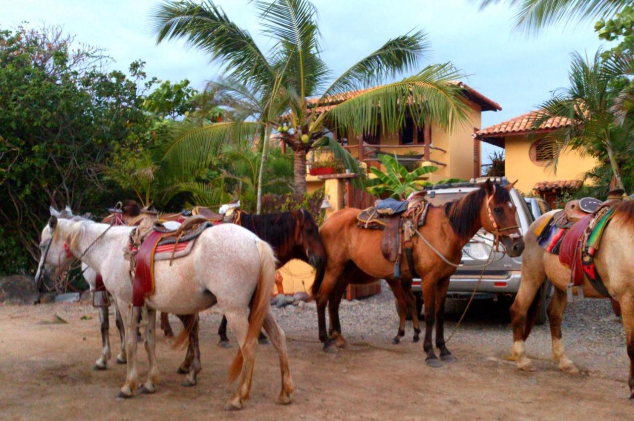 Troncones Point Hostel Ngoại thất bức ảnh
