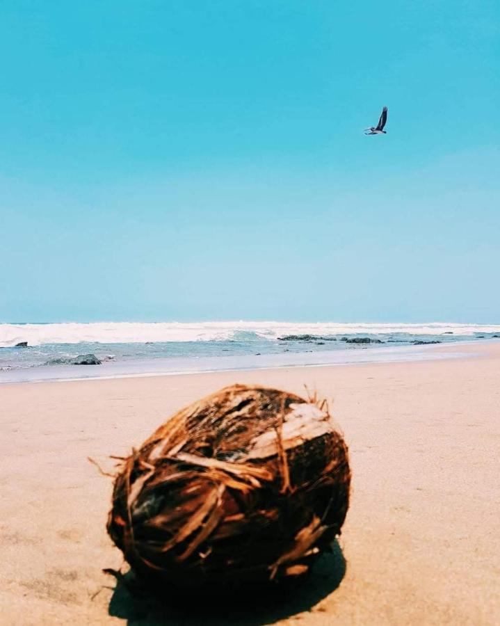 Troncones Point Hostel Ngoại thất bức ảnh