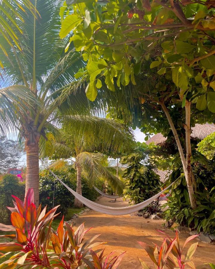 Troncones Point Hostel Ngoại thất bức ảnh