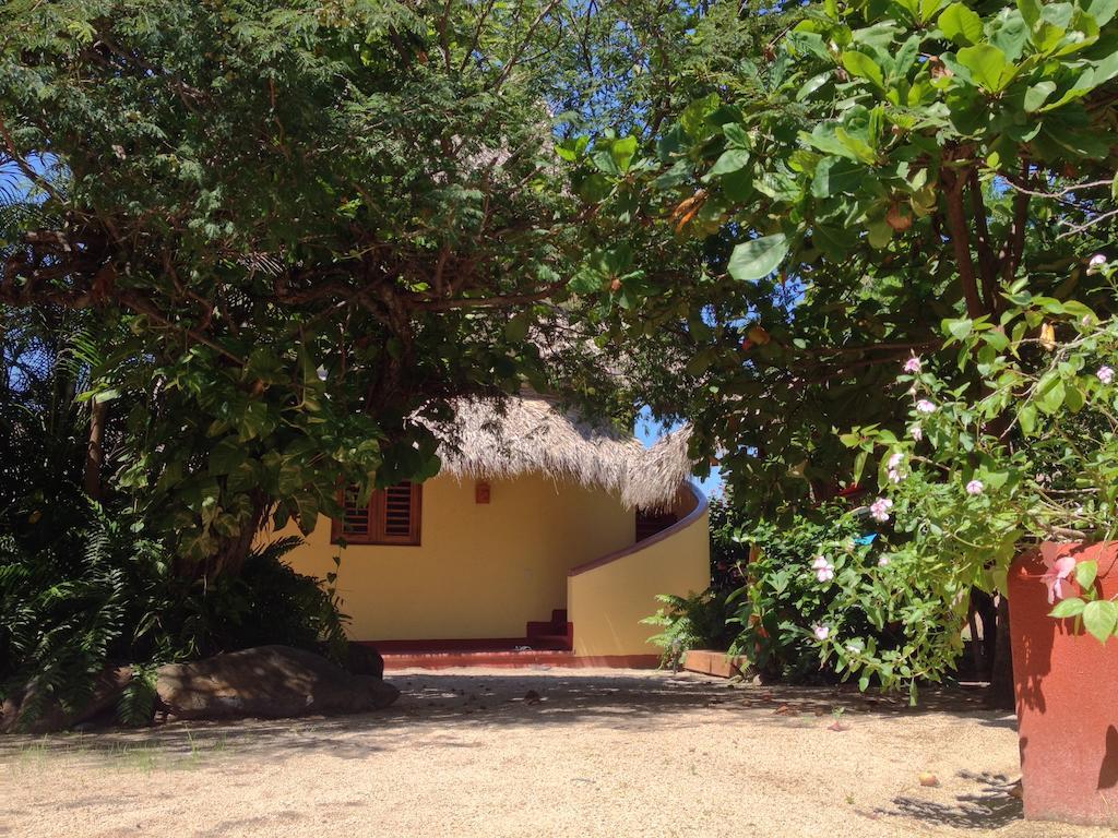 Troncones Point Hostel Ngoại thất bức ảnh