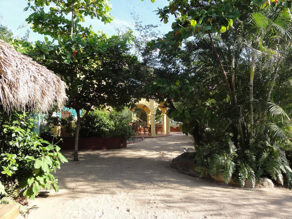 Troncones Point Hostel Ngoại thất bức ảnh