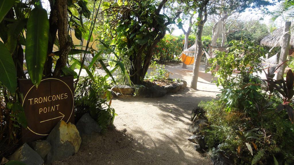 Troncones Point Hostel Ngoại thất bức ảnh