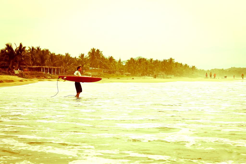Troncones Point Hostel Ngoại thất bức ảnh