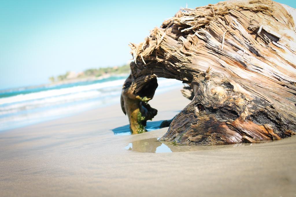 Troncones Point Hostel Ngoại thất bức ảnh