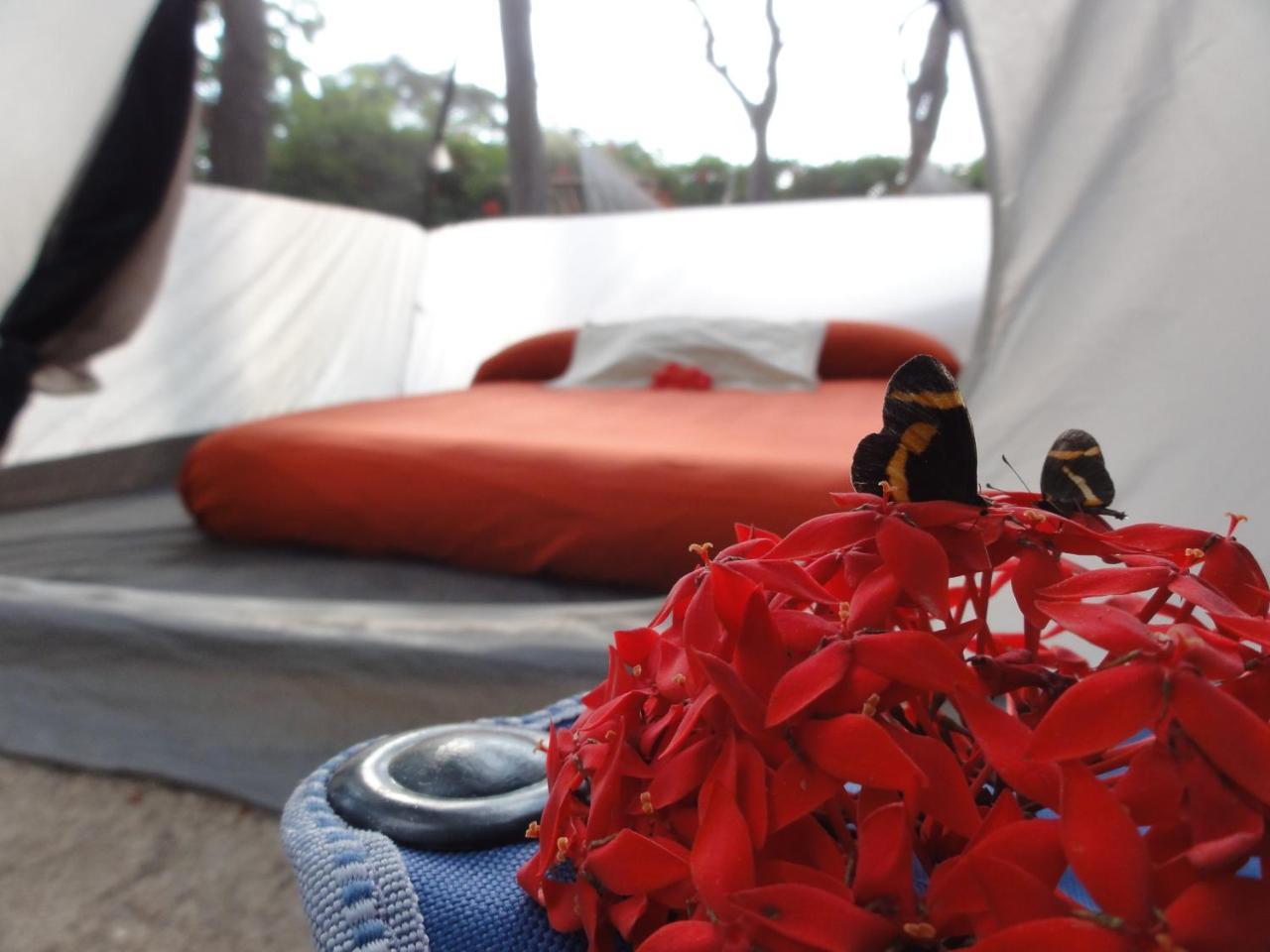 Troncones Point Hostel Ngoại thất bức ảnh